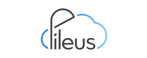 pileus